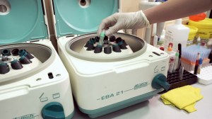 Choosing the Right Centrifuge for Your Laboratory Needs